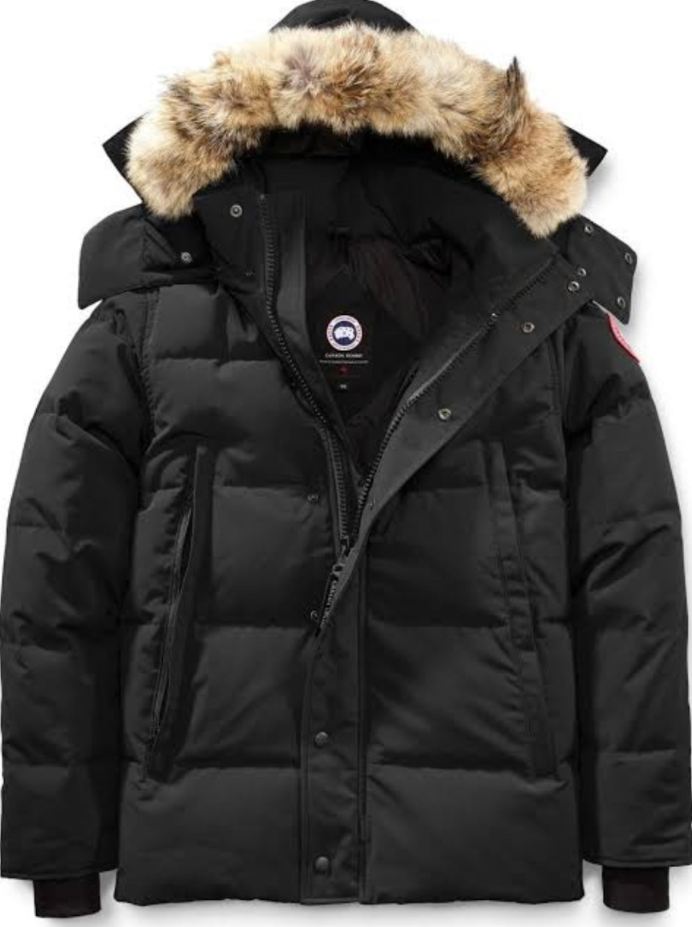 Canada Goose Wyndham parka